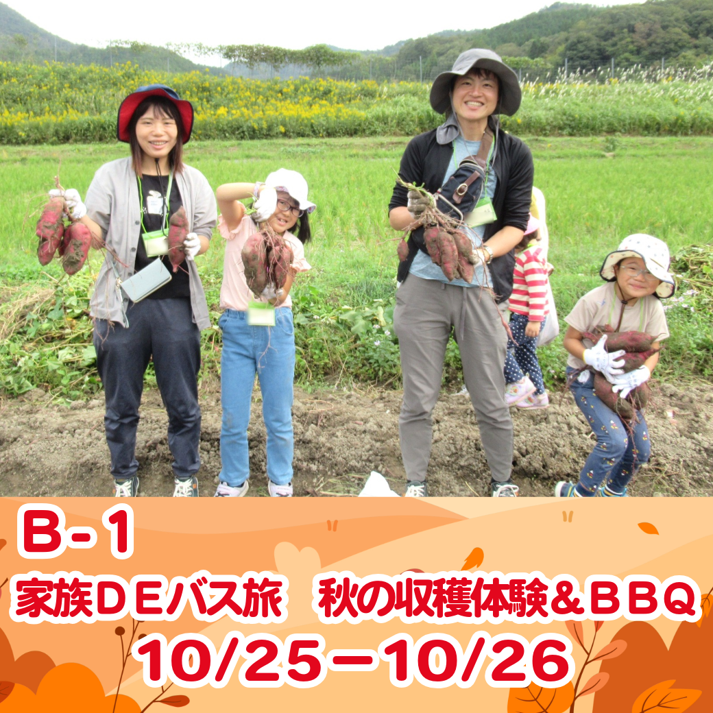 資料ダウンロード