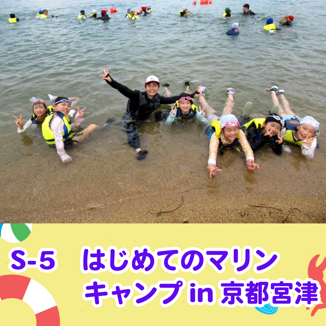 資料ダウンロード